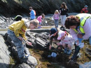 Discovery day - Coastwise rock-pool ramble