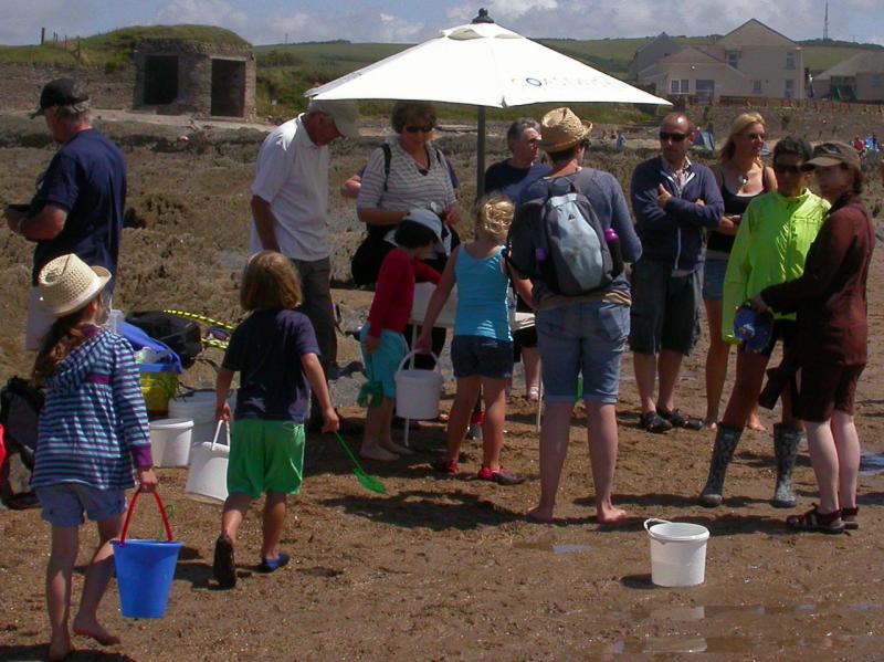 Croyde 4th July 2015 dscn8488_edited