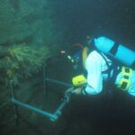 Knoll Pins monitoring transect_Lundy_Jul86_LR