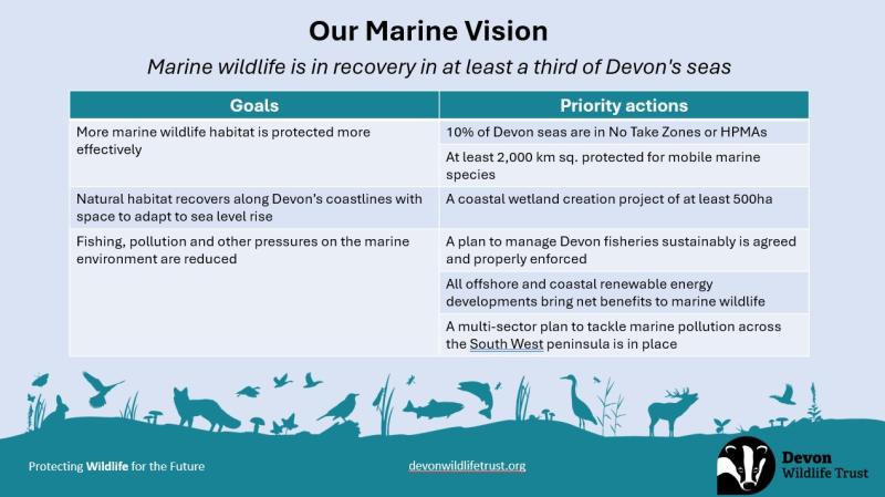 Protecting the Marine Environment…..